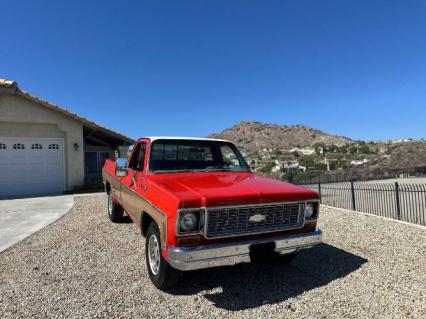 1973 Chevrolet Super Cheyenne