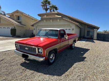 1973 Chevrolet Super Cheyenne