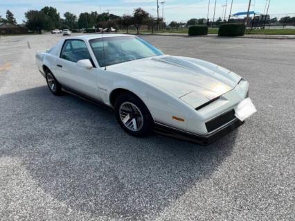 1984 Pontiac Firebird