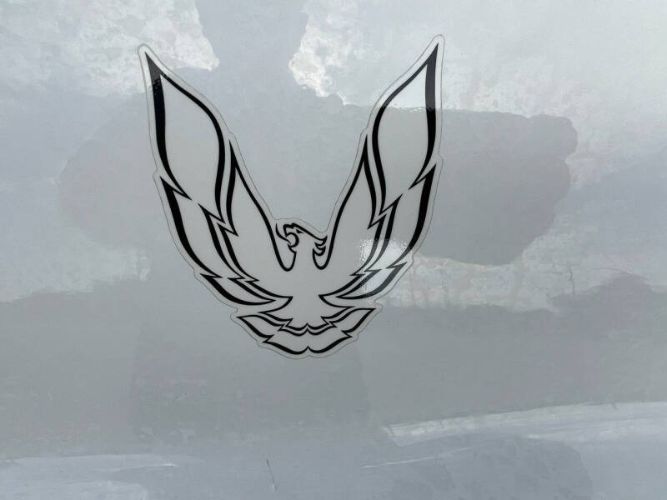 Image 16