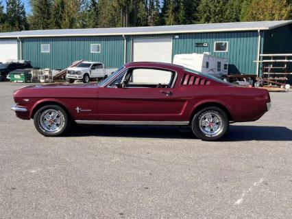 1966 Ford Mustang
