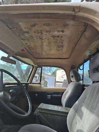 1968 Dodge D100