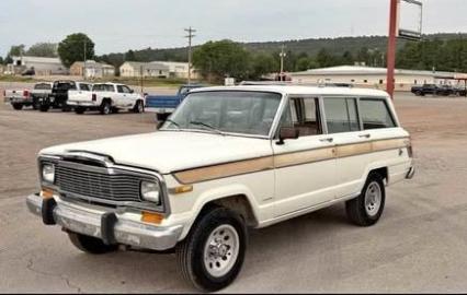 1979 Jeep Wagoneer
