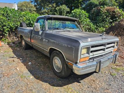 1989 Dodge D250