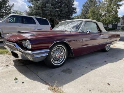 1964 Ford Thunderbird