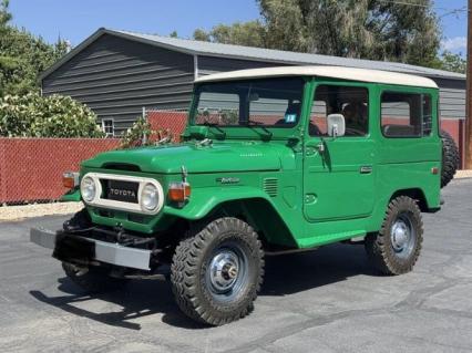 1981 Toyota Land Cruiser