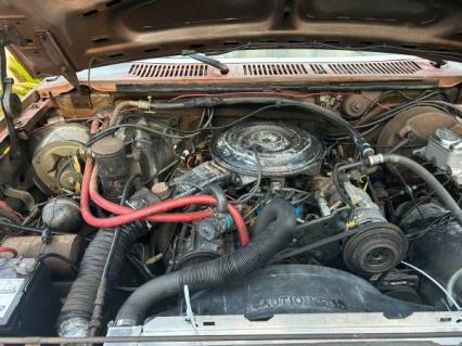1985 Ford Bronco