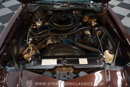 1981 Chevrolet Camaro