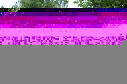 1955 Aston Martin DB24