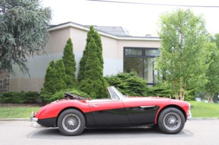 1965 Austin-Healey 3000 MK III