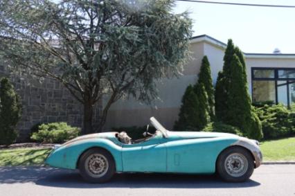 1953 Jaguar XK120