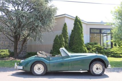 1956 Jaguar XK140