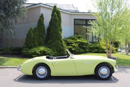 1959 Austin-Healey 100-6