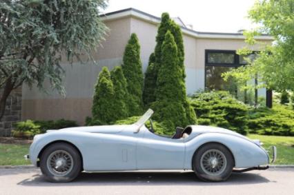 1953 Jaguar XK120