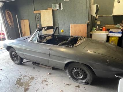 1967 Alfa Romeo Duetto