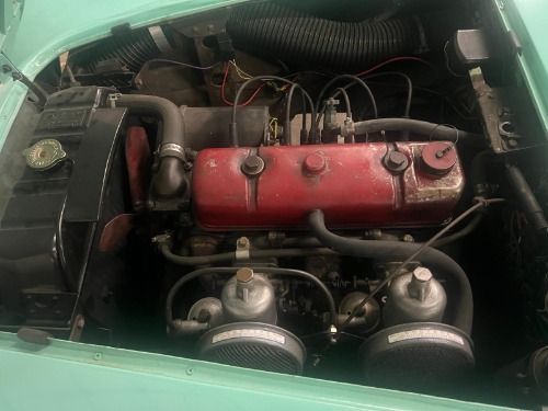Image 7