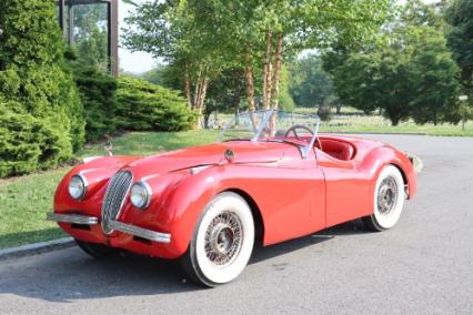 1952 Jaguar XK120