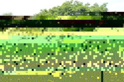 1960 Mercedes-Benz 220SE