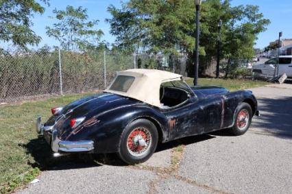 1956 Jaguar XK140