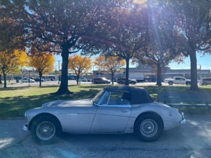1966 Austin-Healey 3000 MK III
