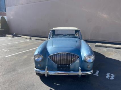 1955 Austin-Healey 100-4