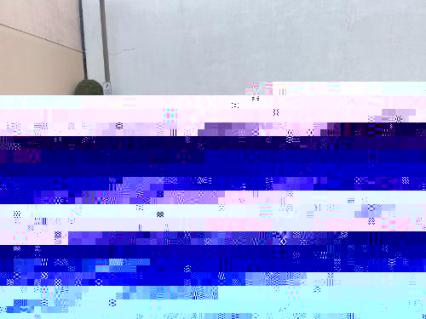 1975 Chevrolet Corvette