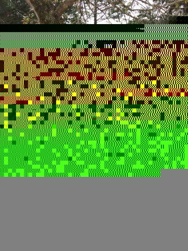 1975 Chevrolet Corvette