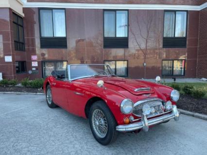 1967 Austin-Healey 3000 MK III