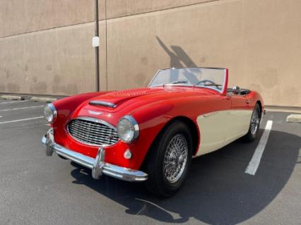 1959 Austin-Healey 100-6