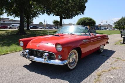 1955 Ford Thunderbird