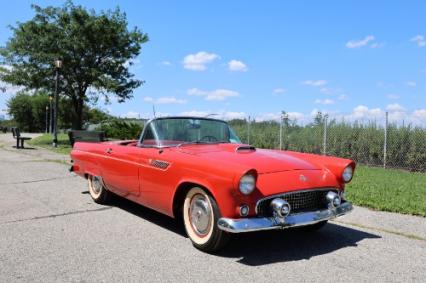 1955 Ford Thunderbird