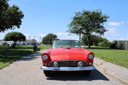 1955 Ford Thunderbird