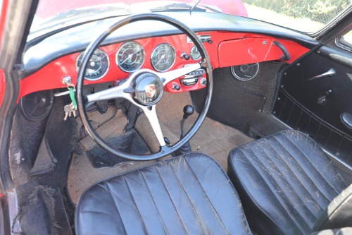 Image 7