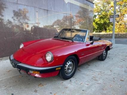 1986 Alfa Romeo Spider