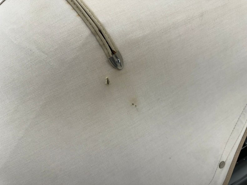 Image 25