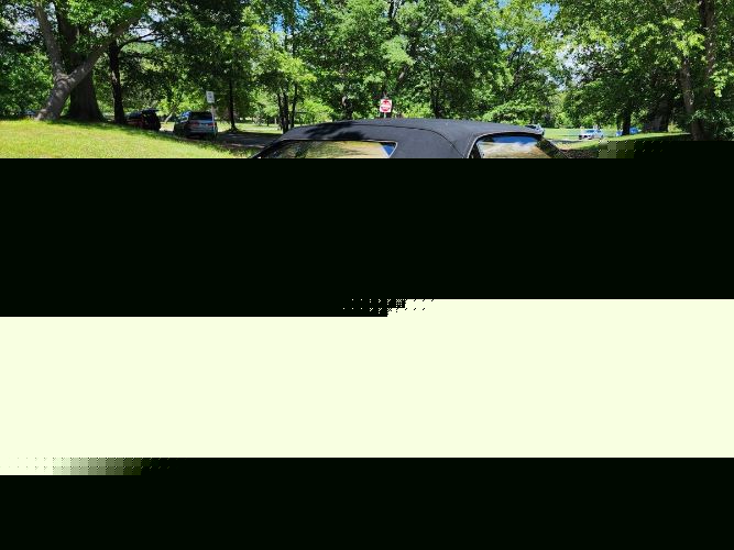 Image 22