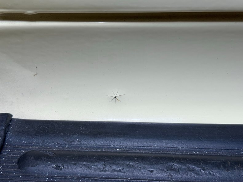 Image 20