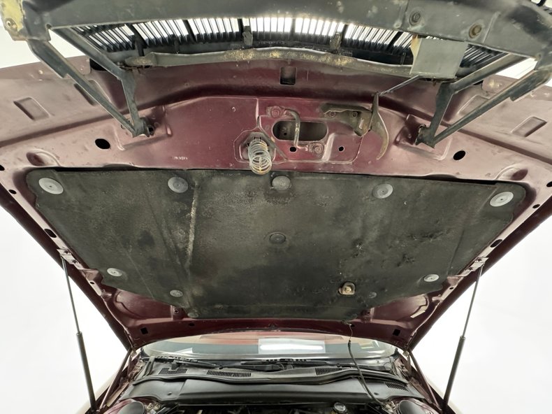 Image 20