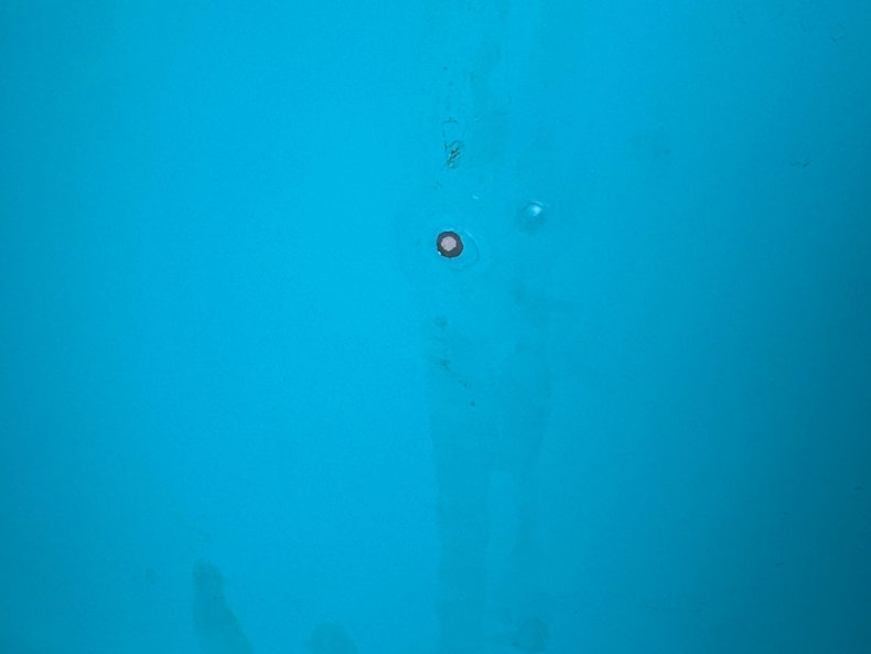 Image 31