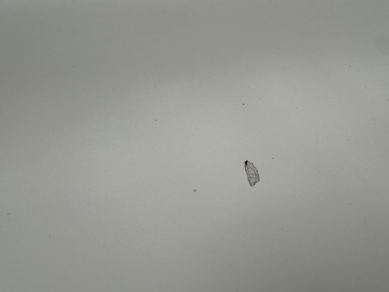 Image 43