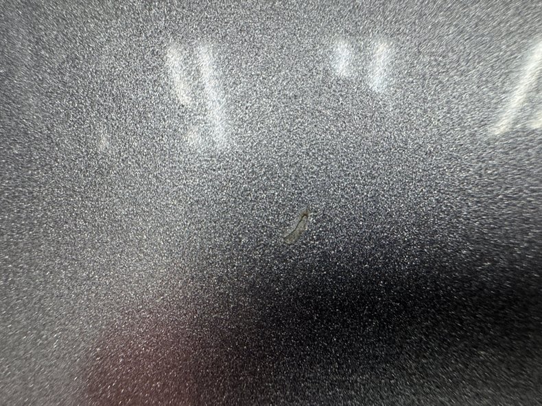 Image 31