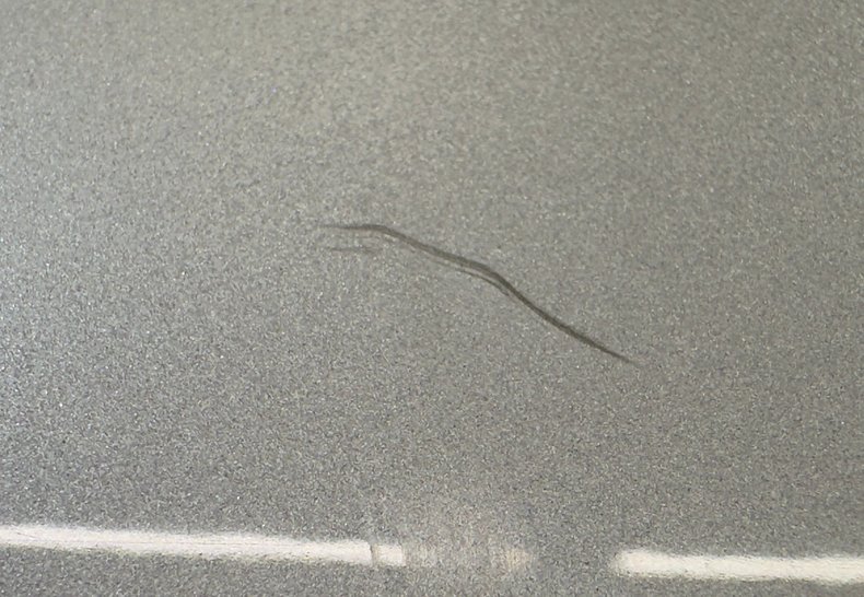 Image 28