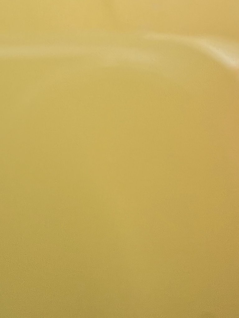Image 48