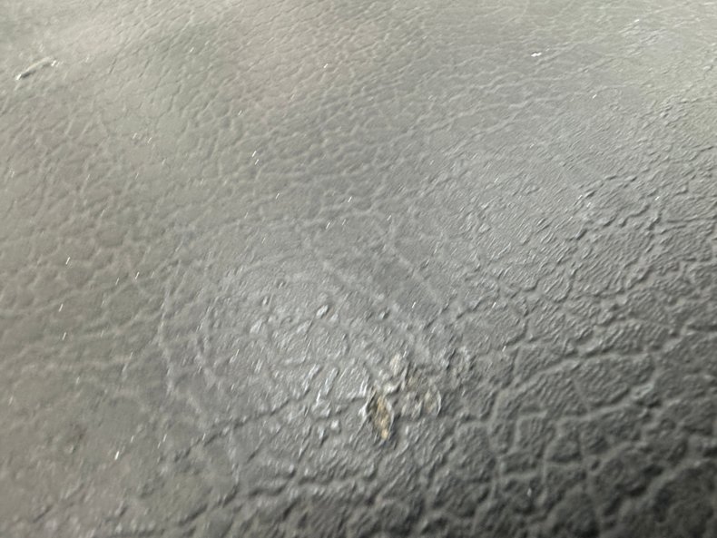 Image 40
