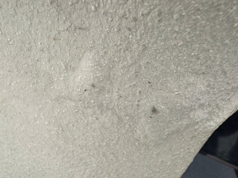 Image 31