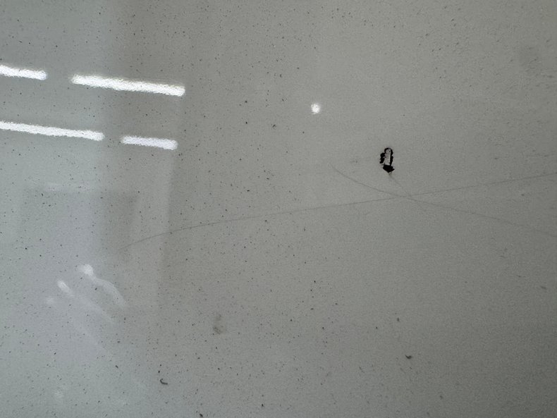 Image 31