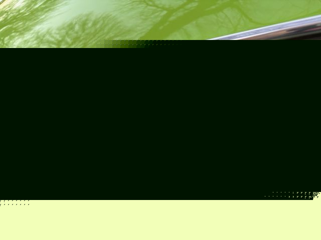 Image 27