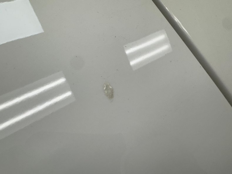 Image 32