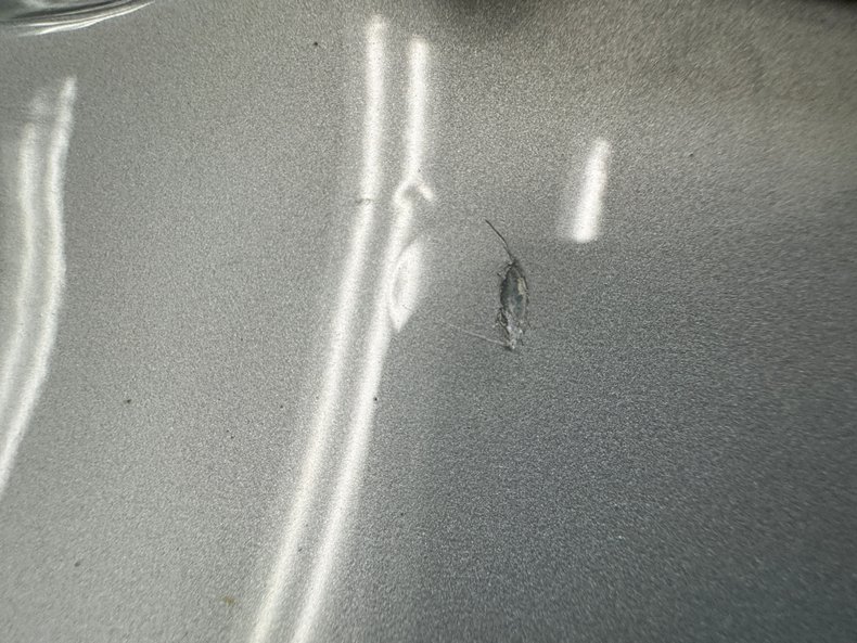 Image 34