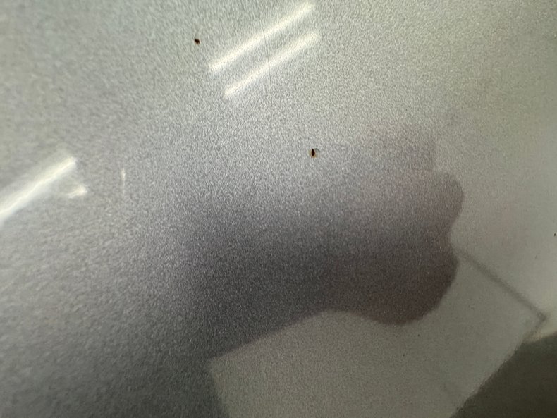 Image 22